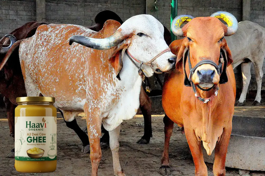 5 Reasons Why A2 Cow Ghee Is Considered a Superfood – 2024
